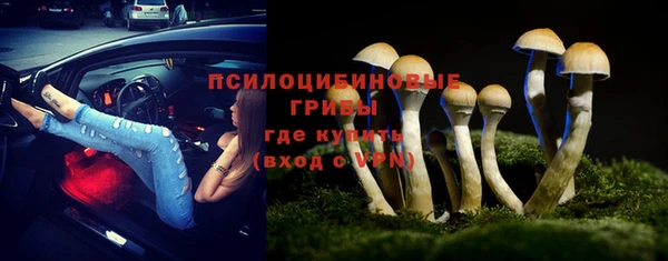 дмт Гусь-Хрустальный