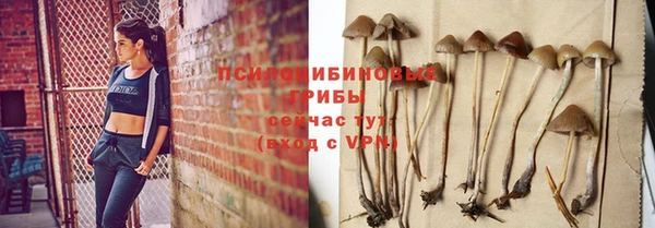 трава Дмитров