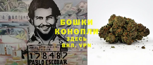 гашик Дмитровск
